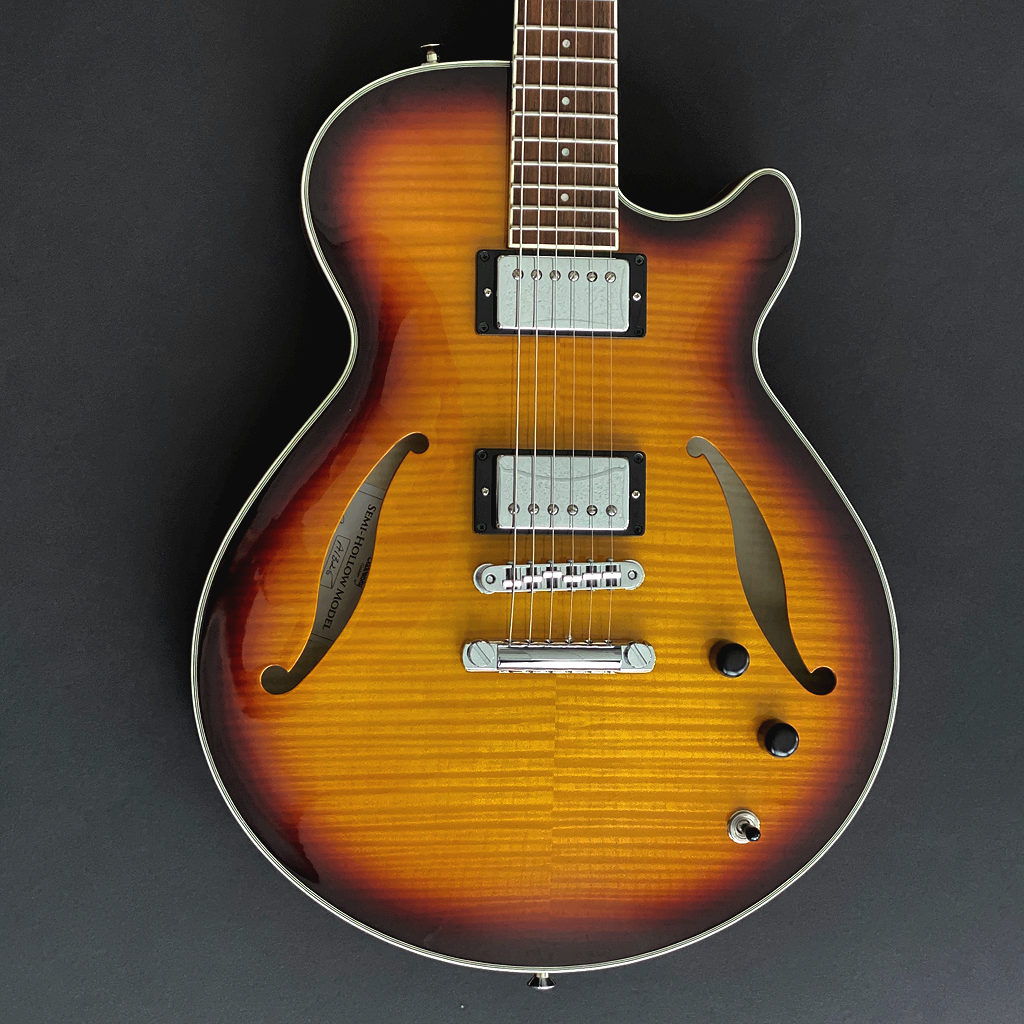 Sadowsky SemiHollow Archtop Guitar Club Bass & Guitar