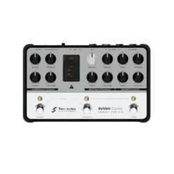 two notes revolt guitar amp sim pedal