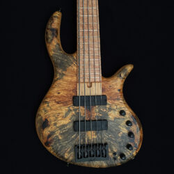 elrick 5-string bass