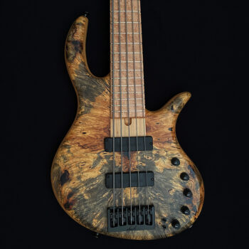elrick 5-string bass