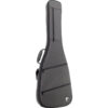 bass gig bag
