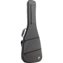 bass gig bag