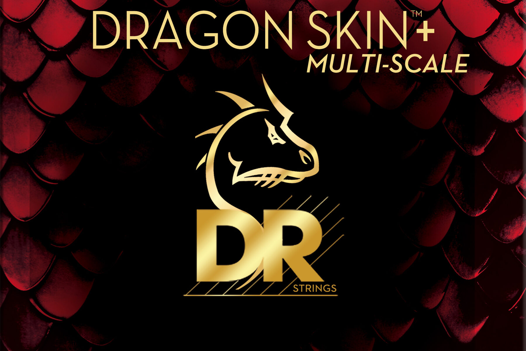 dr multi-scale bass strings